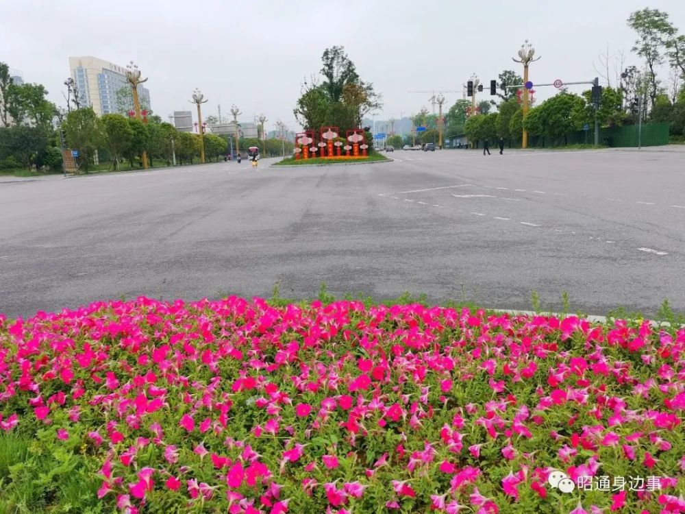鎮(zhèn)雄南部新區(qū)最新動態(tài)，鄰里間的溫情故事展現(xiàn)溫情鄰里關(guān)系