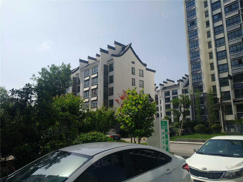 肥城龍山一品最新房?jī)r(jià)，時(shí)代印記與市場(chǎng)脈動(dòng)的交織