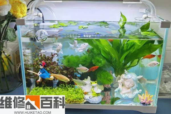 水族箱最新排名揭秘，巷弄深處的隱藏寶藏