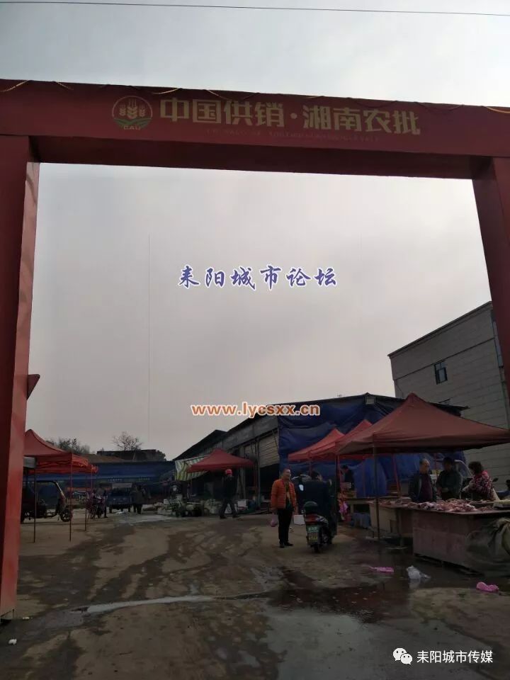 湘南大市場最新動態(tài)，一場溫馨的市場奇遇探索