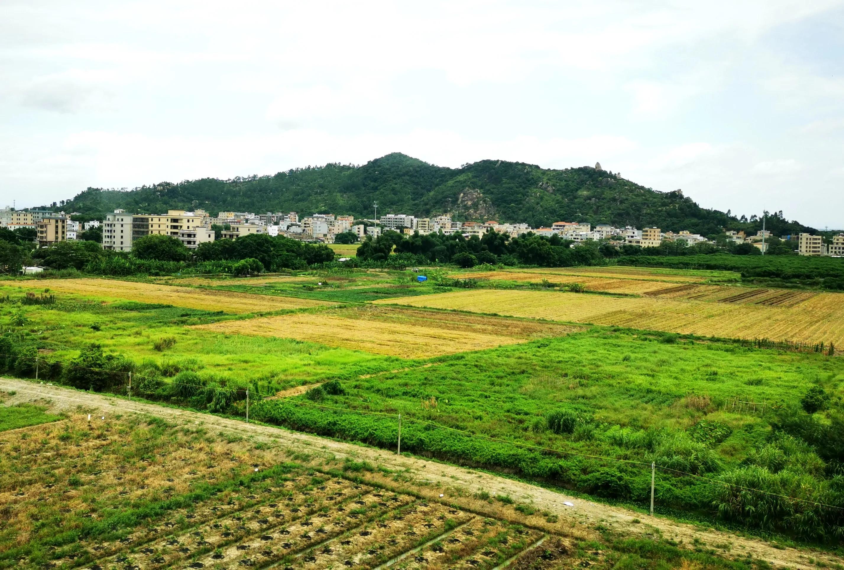 廈門至深圳高鐵提速最新動態(tài),廈門至深圳高鐵提速最新動態(tài)，速度與情感的雙重旅程
