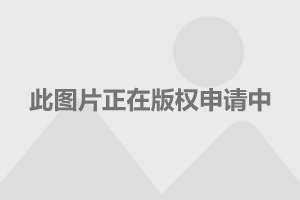 比亞迪上市動(dòng)態(tài)及小巷特色小店的探索之旅！