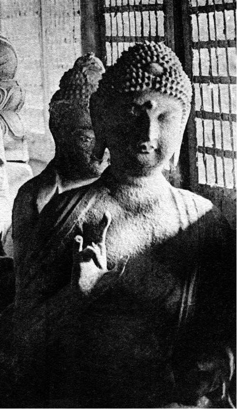 建筑材料（不含危險化學品） 第328頁