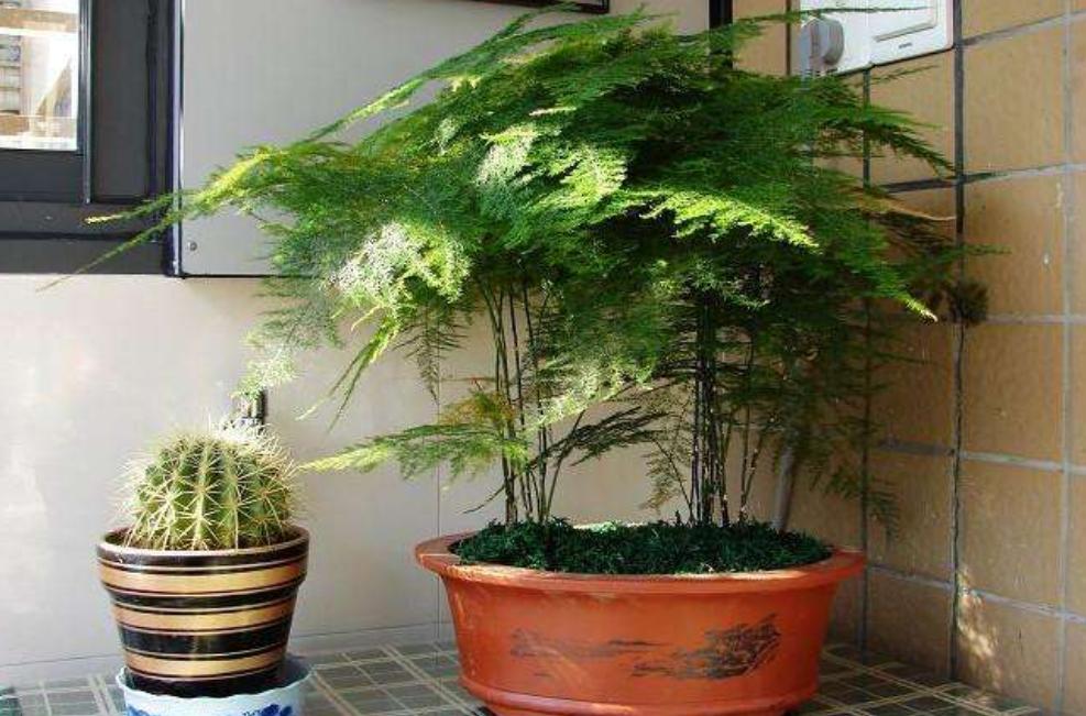 二手電視機(jī)優(yōu)劣分析，選購(gòu)附近二手電視機(jī)的觀點(diǎn)闡述