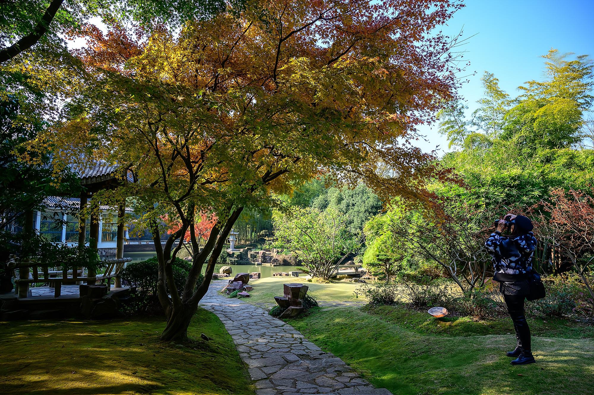 建筑材料（不含危險(xiǎn)化學(xué)品） 第270頁(yè)