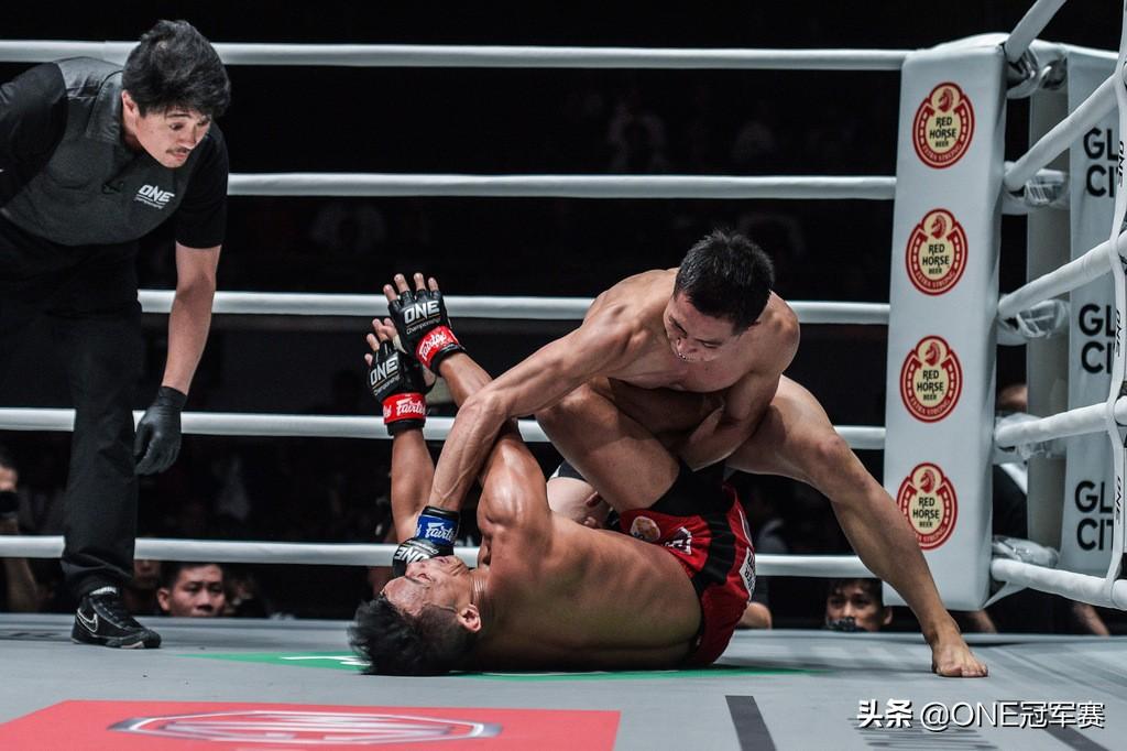 謝彬最新動態(tài)揭秘，一探究竟！