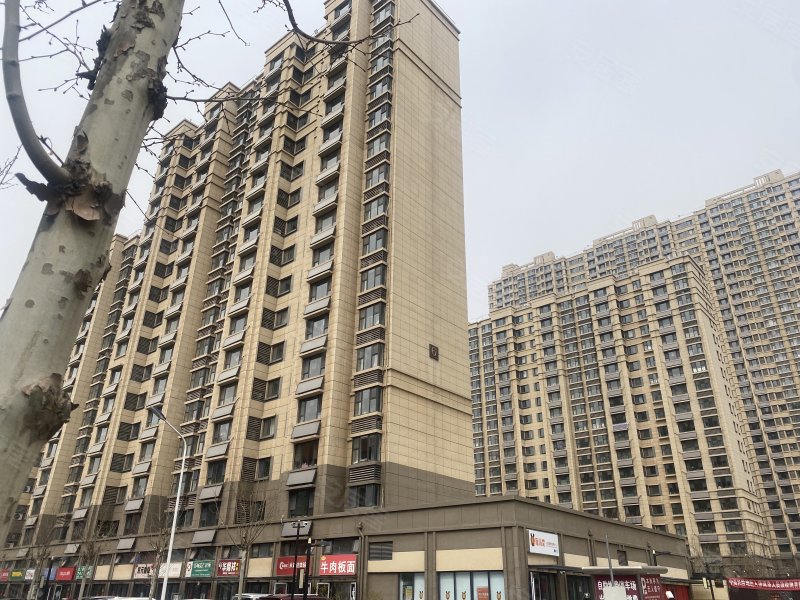 裝飾材料（不含危險化學(xué)品） 第233頁