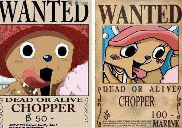 海賊王最新懸賞令圖片解析與觀點(diǎn)闡述