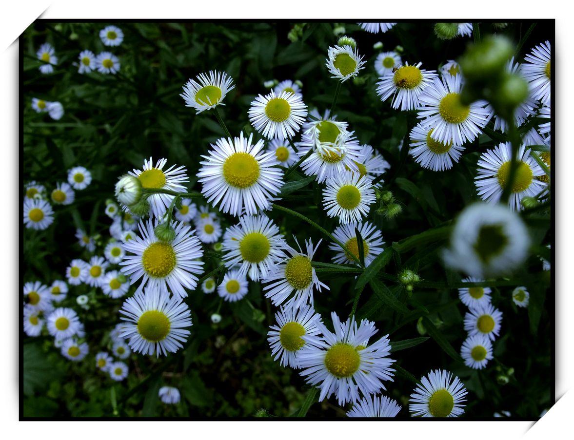 江蘇山東沖突最新進展，科技助力和諧，智能引領未來