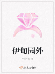 科技革新引領(lǐng)新時(shí)代，鄉(xiāng)村風(fēng)流邪少與生活方式變革