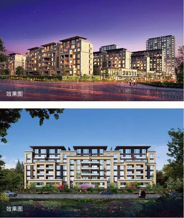 安泰德園最新消息，一站式指南教你如何了解和參與活動全攻略