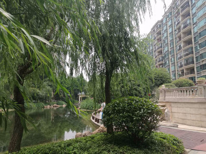 漢陽恒大綠洲最新房價動態(tài)，變化中的學(xué)習(xí)與自信的力量