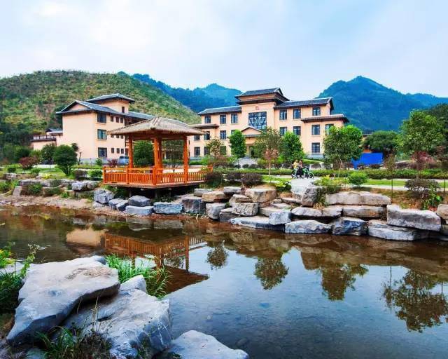 廣西蒙山高速最新動態(tài)，駛向自然美景，探尋內(nèi)心平靜的旅程