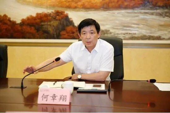 鎮(zhèn)江雷志強(qiáng)的最新任職，多維度視角下的深入探討