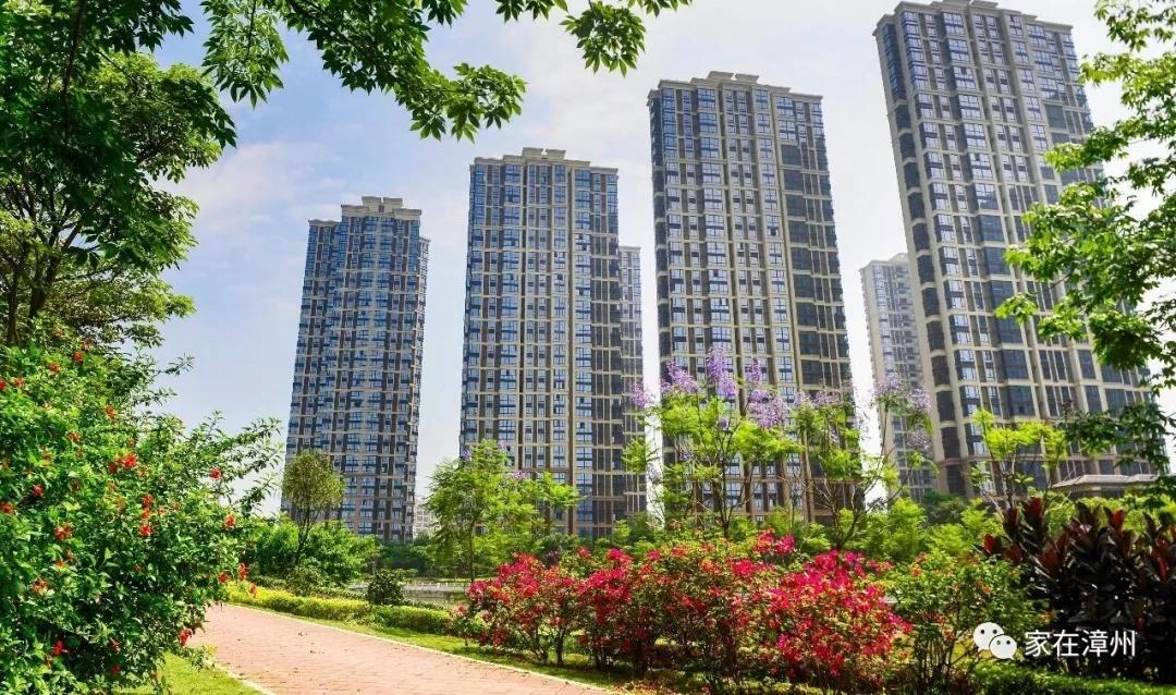 漳州國(guó)貿(mào)潤(rùn)園最新房?jī)r(jià)揭秘，家的故事與溫馨家園的呈現(xiàn)