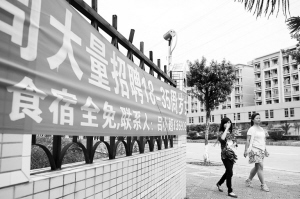 河源東源仙塘最新招聘，時(shí)代背景下的新機(jī)遇啟航