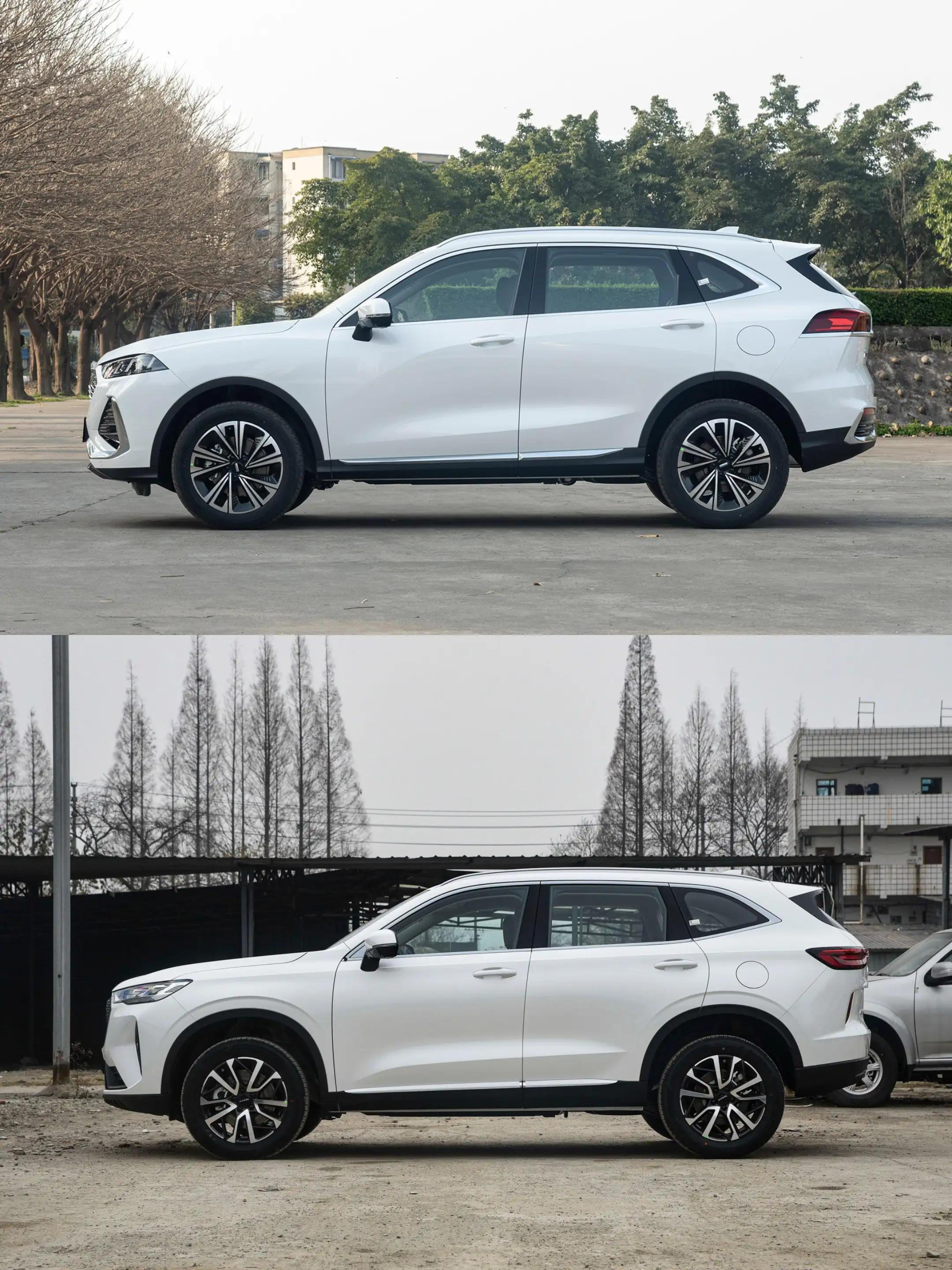 敢問(wèn)路在何方最新動(dòng)態(tài)，探索未來(lái)科技與智能生活的新篇章