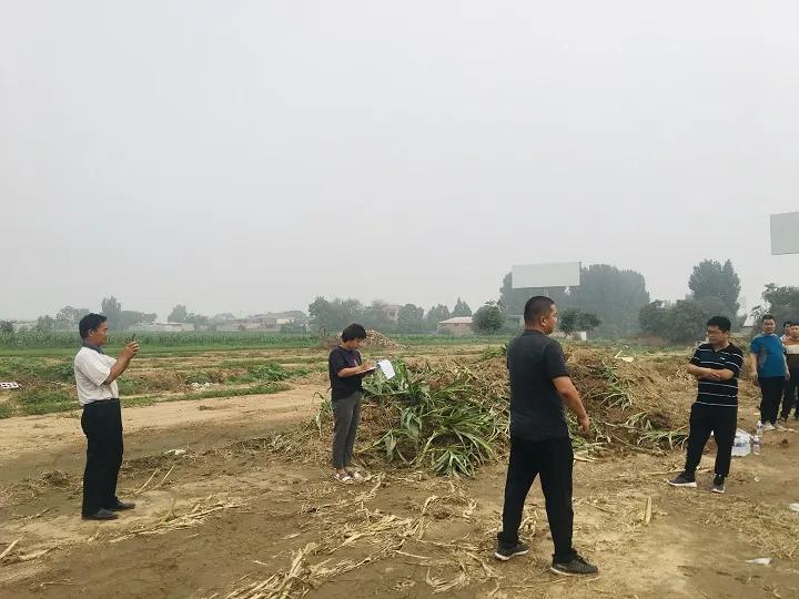 永年區(qū)最新工程項目，時代印記與未來展望之路